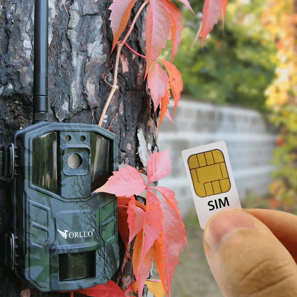 Fotopułapka GSM Kamera Leśna ORLLO HUNTERCAM 3 OUTLET BDB