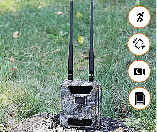 fotopułapka gsm orllo lesna full hd