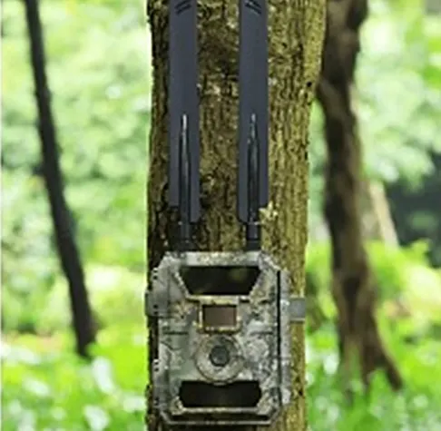 kamera fotopułapka gsm fluu hd orllo