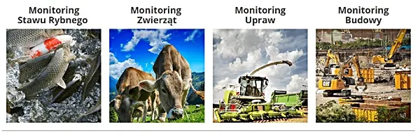 monitoring bezprzewodowy kamera gsm orllo fotopułapka